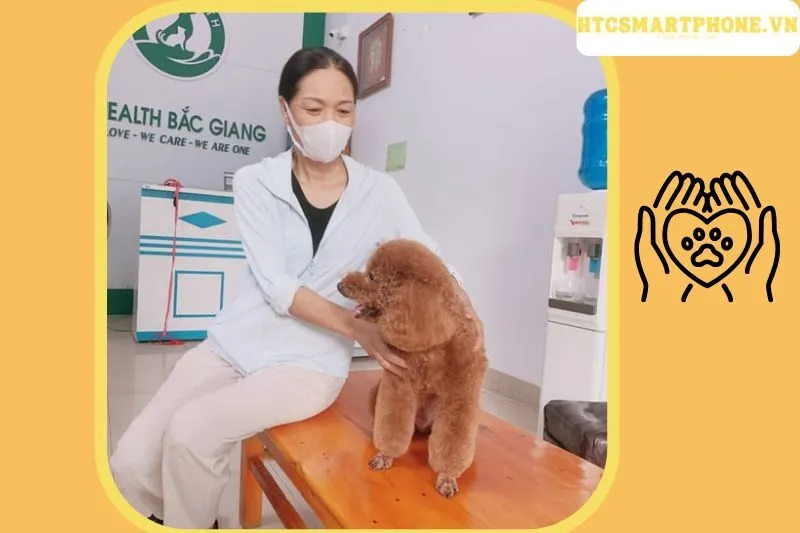 Phòng khám Chó mèo Lovely Pet