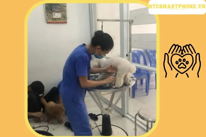 Bệnh viện thú y Pethealth