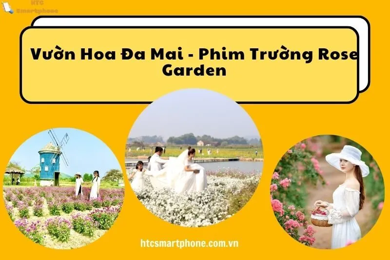 Vườn Hoa Đa Mai - Phim Trường Rose Garden