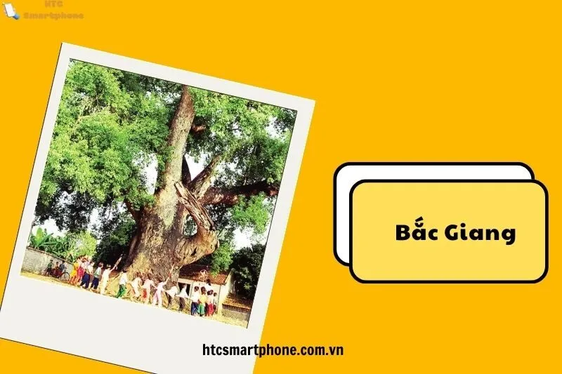 Các Di Tích Chính Trong Cụm Di Tích Tiên Lục