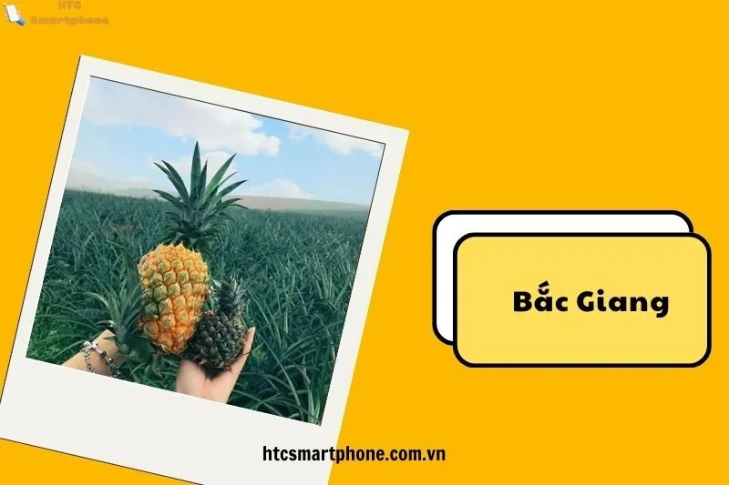 Các Địa Điểm Du Lịch Lân Cận Đồi Dứa Bảo Sơn