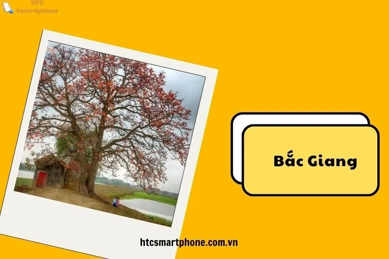 Du Lịch Bắc Giang: Các Hoạt Động Và Điểm Tham Quan Gần Cây Gạo Miếu Bà Cô