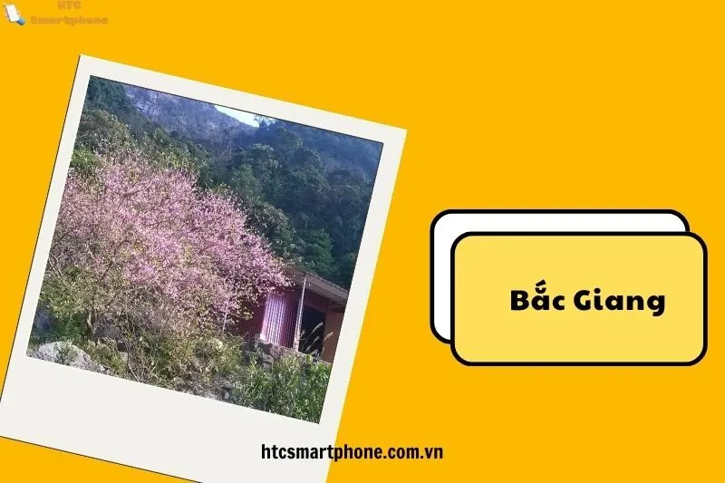 Lịch sử và sự phát triển của Chùa Hồ Thiên qua các thời kỳ