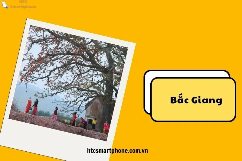 Mùa Hoa Gạo Nở: Thời Điểm Lý Tưởng Để Thăm Cây Gạo Miếu Bà Cô