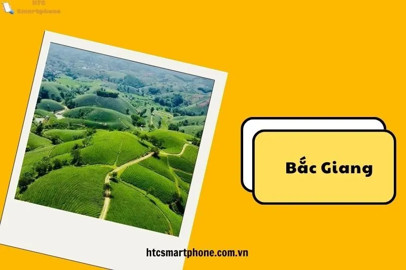 Những Hoạt Động Nổi Bật Khi Tham Quan Đồi Dứa Bảo Sơn