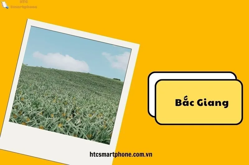 Thời Điểm Lý Tưởng Để Tham Quan Đồi Dứa Bảo Sơn
