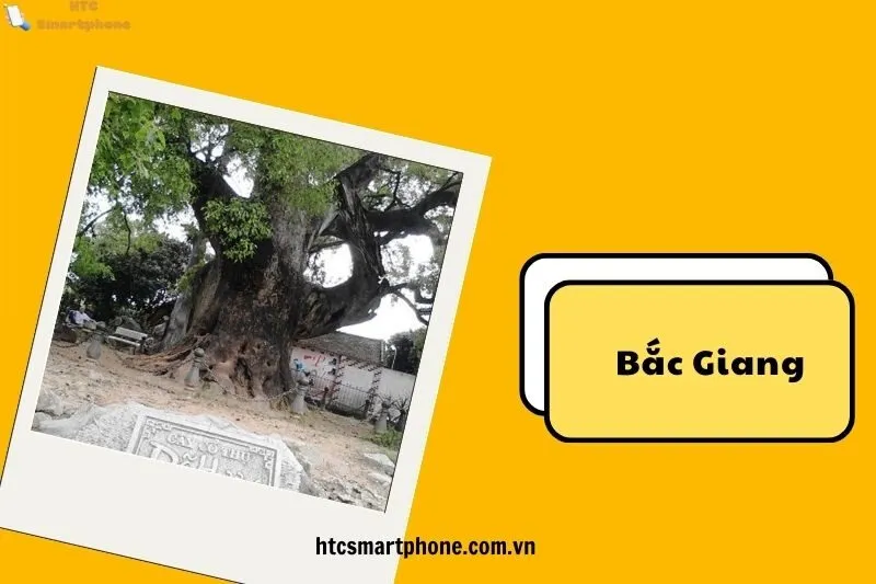 Tổng Quan Về Cụm Di Tích Tiên Lục